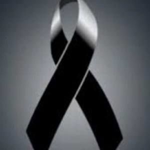 Meet your Posher, Claudia